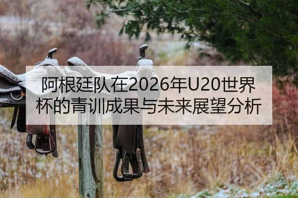 阿根廷队在2026年U20世界杯的青训成果与未来展望分析