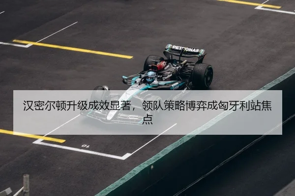 han-mi-er-dun-sheng-ji-cheng-xiao-xian-zhu-ling-dui-ce-lve-bo-yi-cheng-xiong-ya-li-zhan-jiao-dian-3-564.jpg