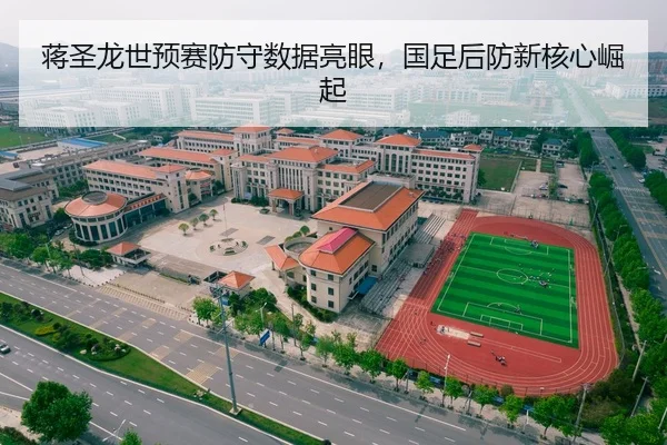 蒋圣龙世预赛防守数据亮眼，国足后防新核心崛起